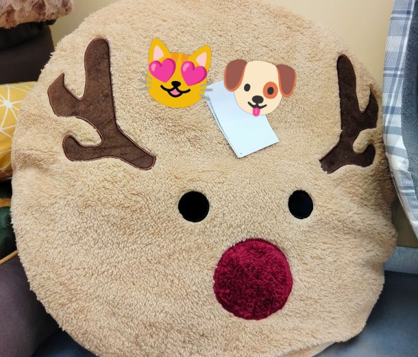 Esempio dalla galleria fotografica di SCUBY-DU