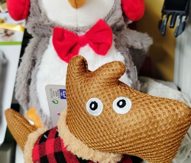 Esempio dalla galleria fotografica di SCUBY-DU